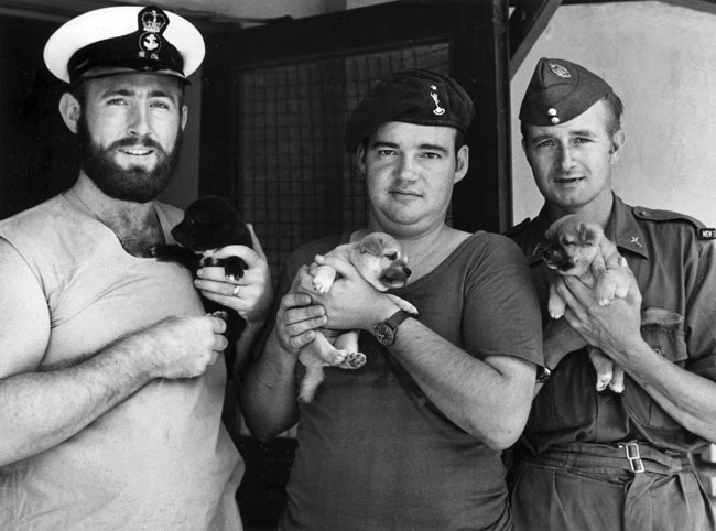 Representatives from the Army, Navy and Airforce can be seen holding their puppy mascots at Bong Son, 1970
