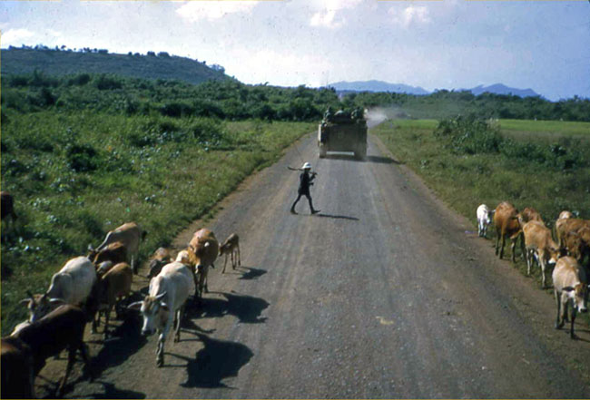 APCs move along road in Vietnam, circa 1966