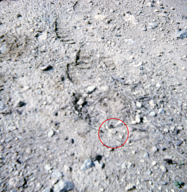 Buried M16 mine in the Long Hai hills, 1970
