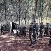 The band plays amongst the rubber trees at FSB Discovery - 1RNZIR Band Tour, 1969