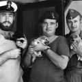 Representatives from the Army, Navy and Airforce can be seen holding their puppy mascots at Bong Son, 1970