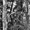 SAS Trooper T.H. Maaka, in the jungles of southern Malaysia training for deployment in Vietnam in 1971