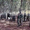 The band plays amongst the rubber trees at FSB Discovery - 1RNZIR Band Tour, 1969