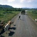 APCs move along road in Vietnam, circa 1966