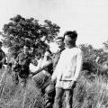 Australian soldiers escort Viet Cong prisoners, 1966